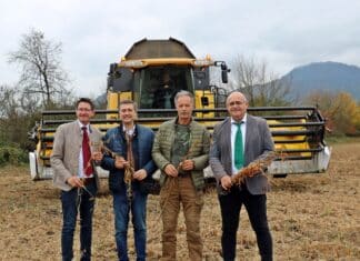 Erntebilanz 2024: Unterdurchschnittliche Ernte trifft auf angespannte Märkte