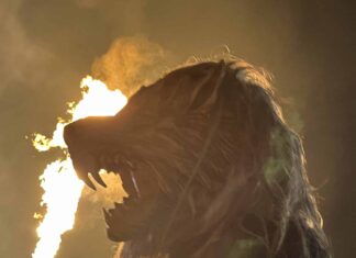 Ausstellung: “Die schwarzen Teufel”