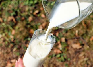 Kärntnermilch vor Herausforderungen: Bauern drohen mit Wechsel zu Berglandmilch