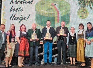 Kärntens bester Waldhonig ist auch 2024 ein Gailtaler