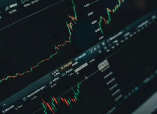 Anleihen – Die Anlageklasse unter die Lupe genommen