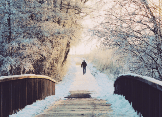 ÖÄK zu Einsamkeit: Zu Weihnachten nicht auf sich selbst vergessen!