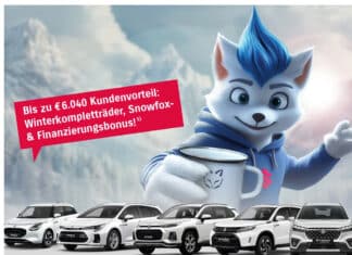 Suzuki Snowfox Special Edition