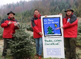 Heimische Christbäume bereiten echte Freude