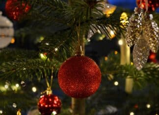 Christbaumkauf: Das gibt es zu beachten