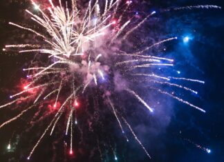 Feuerwerk zu Silvester? Tiere leiden, Müll & Giftstoffe belasten die Umwelt