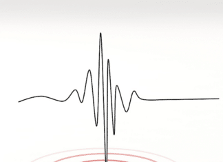 Die Erde hat gebebt: Hast du es gespürt?