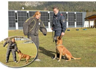 Beruf und Hobby leidenschaftlich kombiniert