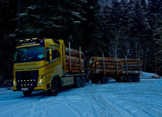 Bachmann Transporte sucht: LKW-Fahrer/in für Rundholztransport (m/w/d)