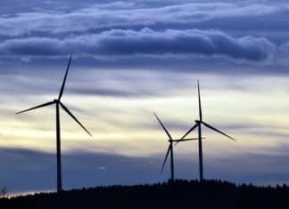 Volksbefragung: Überparteiliche Gespräche finden am Donnerstag statt