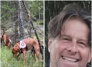 Vom Spaziergang nicht mehr zurückgekehrt: Keine Spur von vermissten 53-Jährigen