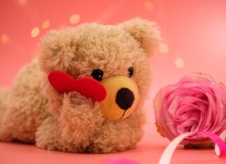 Valentinstag naht: So viel wird im Durchschnitt in Kärnten für die Liebsten ausgegeben