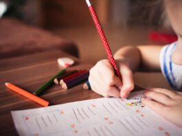 Klarheit für Eltern und Schulen: Bilinguale Klassen im Schuljahr 2025/2026 gesichert