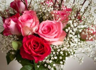 Wie bedanke ich mich bei jemandem für das Schicken von Blumen?