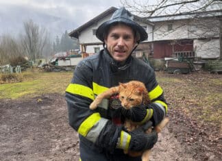 Katzenrettung in Möderndorf