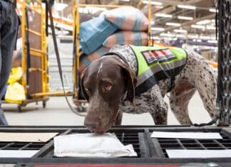 Vierbeinige Helden im Einsatz: Zoll-Diensthunde ,,erschnüffeln” Bargeld, Suchtgift & Artenschutzvergehen