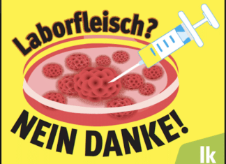Petition „Laborfleisch? NEIN, DANKE!“ zeigt Wirkung