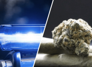 Raubüberfall & Drogenfund in Villach: 17-Jähriger Opfer von Gewalt, Verdächtige mit Cannabis und Beweismaterial festgenommen