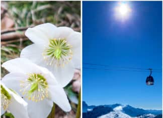 Frühling im Anmarsch: Ungetrübter Sonnenschein & frühlingshafte Temperaturen diese Woche garantiert