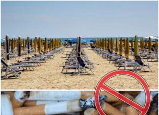 Sand & Meer ganz ohne Zigarettenstummel: Für diesen Urlaubsort wurde nun ein Rauchverbot an den Stränden verhängt