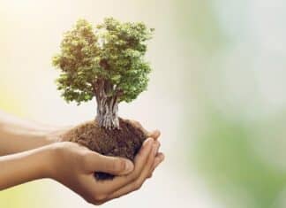 Kärnten setzt auf Erneuerbare Energie: 4,8 Millionen Euro Förderung für nachhaltige Wärmequellen