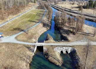 Der Weg durchs Schilf