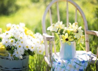Die Vielfalt der heimischen Flora: Pflanzen für jeden Garten