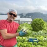 Frische Vielfalt aus Würmlach: Salate, Jungpflanzen & Kräuter