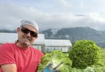 Frische Vielfalt aus Würmlach: Salate, Jungpflanzen & Kräuter