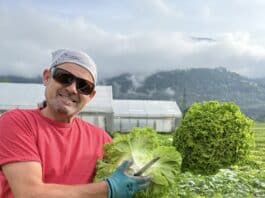 Frische Vielfalt aus Würmlach: Salate, Jungpflanzen & Kräuter