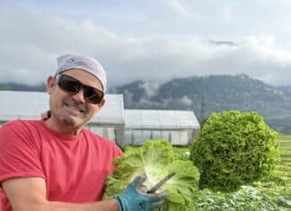 Würmlacher Gemüsefarm startet in die Saison!