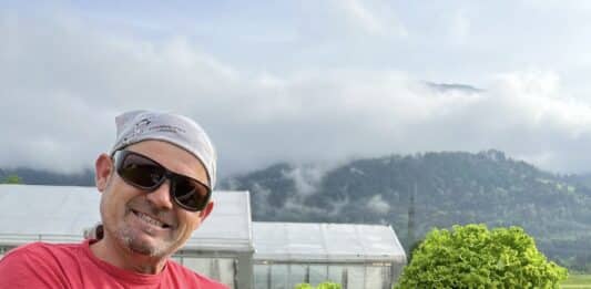 Frische Vielfalt aus Würmlach: Salate, Jungpflanzen & Kräuter