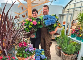 Gärtnerei Rimmele – Blühende Vielfalt für Gartenfreunde