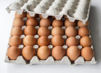 Gefärbte Ostereier im Check: Bodenhaltung dominiert, ein Drittel der Eier stammen aus Freilandhaltung