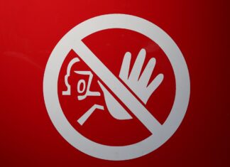 FPÖ-Angerer: Aufenthaltsverbot für deutsche Klimachaotin Windl ist längst überfällig!