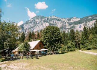 Naturpark Dobratsch: Sommerprogramm mit Führungen, Einblicken & Erlebnissen
