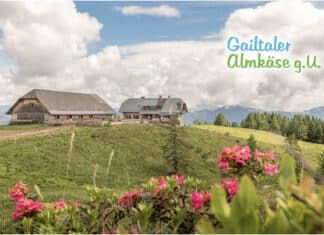 Kulinarisches Kulturerbe Almkäse g.U.