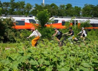 „Österreich radelt“ für neue ÖBB Blühwiese eine Strecke von 17 Erdumrundungen