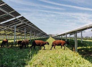 ÖBB: Grüne Energie-Offensive mit Sonne, Wasser und Wind