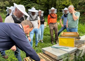 Welttag der Bienen: Kärntner Imkerinnen & Imker sichern Kultur, Handwerk & Artenvielfalt!