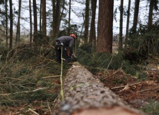 Wirtschaftspressekonferenz der Land- & Forstbetriebe: Österreichs Wälder als Schlüssel zur Klimawende und wirtschaftlicher Stärke!