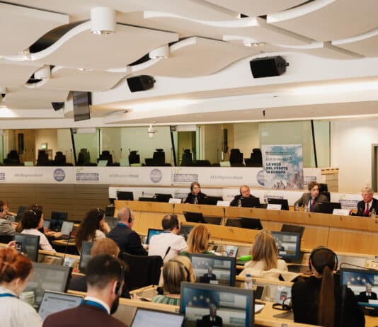 EU: Kärnten fordert finanzielle Gerechtigkeit für Regionen