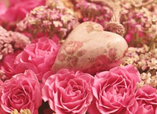 Muttertag 2025: Blumen, Liebe & steigende Ausgaben – Ein Blick auf Österreichs Geschenke-Trend