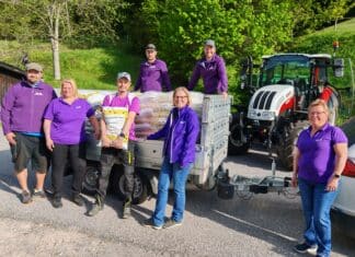 Sandspielspaß für 60 Familien: Kostenloser Spielsand für kleine Abenteurer im Bleiberger Tal!