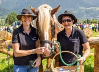 Ein voller Erfolg – Die Kärntner Hengstschau 2025 in Nölbling