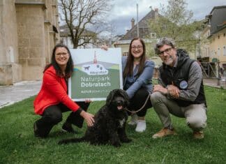 Wuffi im Rampenlicht: So wirst du mit deinem Hund zum Naturpark-Star!