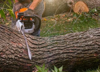 Tödlicher Forstunfall in Bad Bleiberg: 42-Jähriger Mann stirbt bei Arbeiten mit Seilwinde