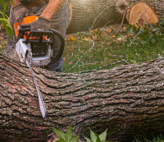 Tödlicher Forstunfall in Bad Bleiberg: 42-Jähriger Mann stirbt bei Arbeiten mit Seilwinde