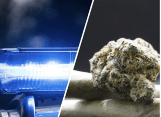 Suchtgift-Schmuggel gestoppt: Vier Festnahmen in Klagenfurt!