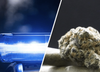 Wiederholter Drogenschmuggel aufgedeckt: 31-Jähriger bei Kontrolle am Loiblpass festgenommen